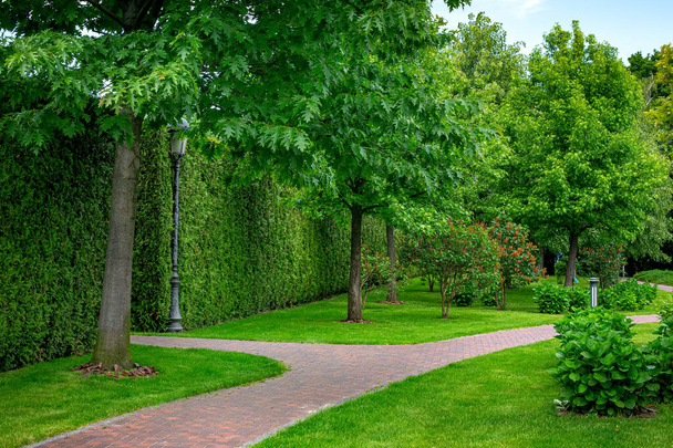 stone tile walkway curve arcing in the park among green plants of evergreen thuja hedges and mulching trees with deciduous bushes and iron ground garden lantern and retro pillar lighting, nobody. - Foto, imagen