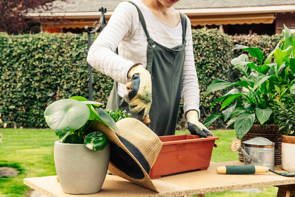 Mujer jardinero trabajando con una maceta para plantar una planta. Concepto de naturaleza. - Foto, imagen