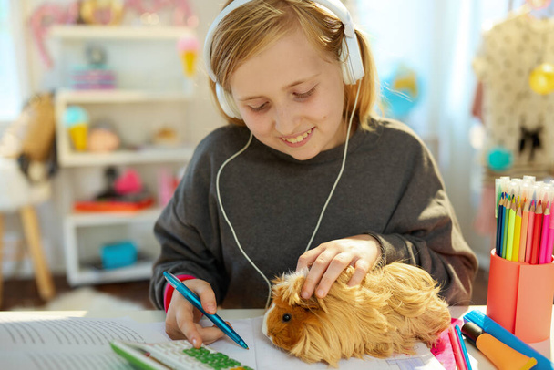 smiling modern girl with headphones and guinea pig learning online at home in sunny day. - Valokuva, kuva