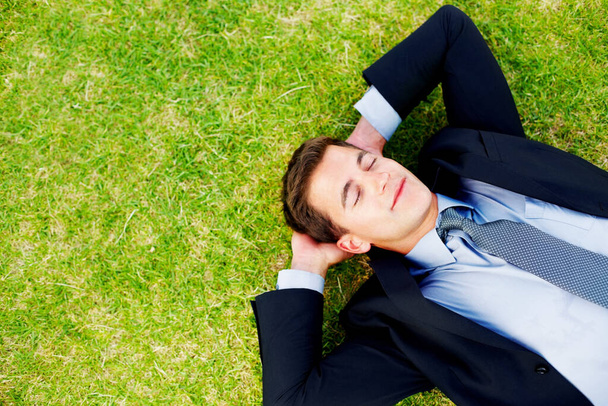 Relaxed young male entrepreneur sleeping peacefully on grass - Copyspace. - Photo, Image