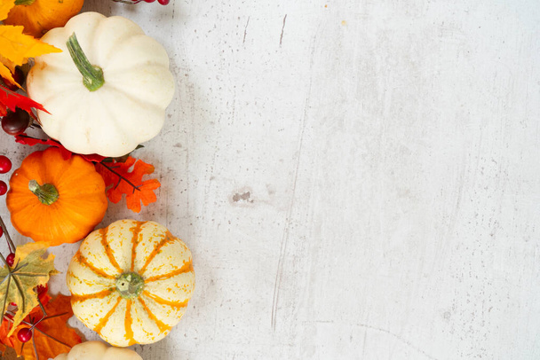 White and orange pumpkins with fall leaves border on white wooden background with copy space, top view - Foto, imagen