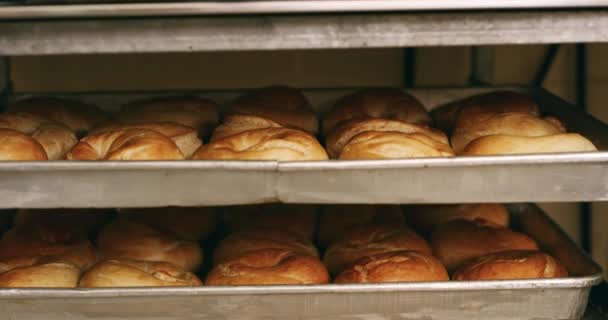 4k video footage of pastries on a shelf in a bakery. - Video
