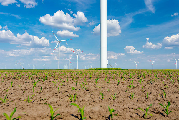 Granja de pocas grandes turbinas eólicas se encuentran entre los campos agrícolas, generando energía eléctrica renovable limpia. - Foto, imagen