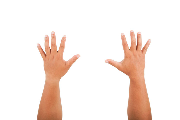 Raise both hands with five fingers. on a white background with clipping path - Zdjęcie, obraz