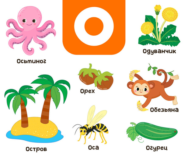 Russian alphabet. Written in Russian octopus, cucumber, dandelion, island, walnut, wasp, monkey - Vector, Imagen