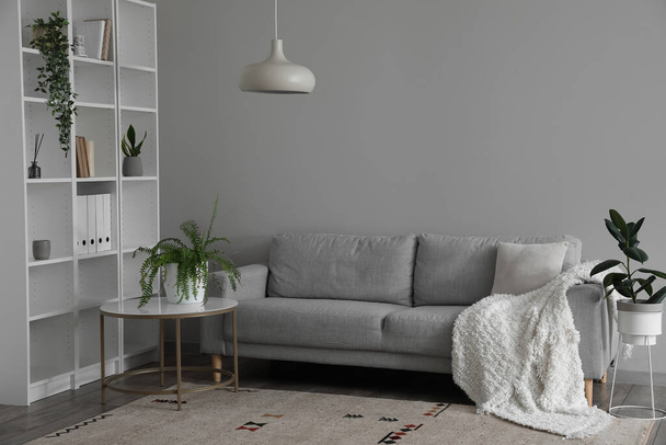 Grey sofa and table with houseplants near light wall - Foto, Bild
