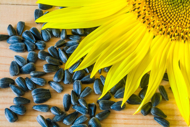 Sunflower seeds and sunflower flower on a wooden background - Foto, Bild