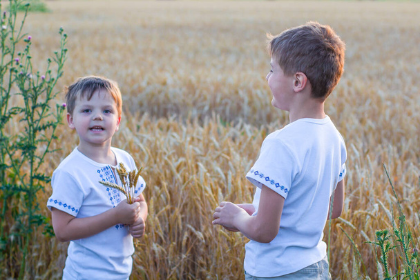 Due ragazzi sorridenti felici in camicie ucraine nazionali in campo di grano. Concetto di amicizia. Nazionale ucraina. Educazione patriottica. Giorno dell'indipendenza - Foto, immagini