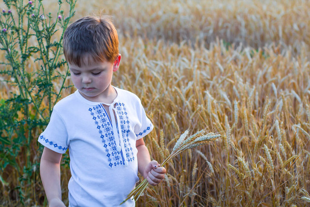 Happy smiling boy in national Ukrainian shirt with wheat ears in hand in wheat field. Child in traditional embroidery vyshyvanka shirt - Photo, Image