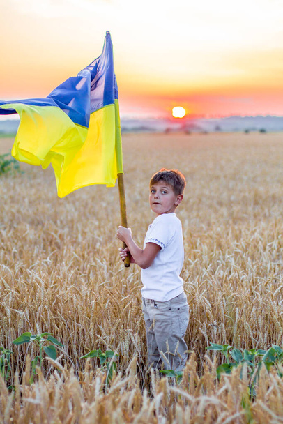 Menino sorridente feliz em camisas bordadas ucranianas nacionais mantêm a grande bandeira amarelo-azul contra o fundo de espiguetas do campo de trigo. Educação patriótica. Dia da Independência. Glória à Ucrânia ao pôr-do-sol - Foto, Imagem