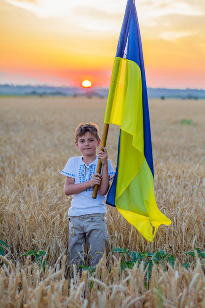 Happy smiling boy in national Ukrainian embroidered shirts hold large yellow-blue flag against background of spikelets of wheat field. Patriotic education. Independence Day. Glory to Ukraine On Sunset - Photo, image