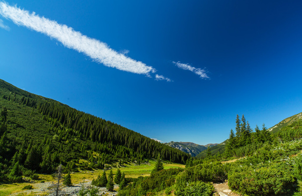Krásné horské scenérie v Transylvánské Alpy - Fotografie, Obrázek