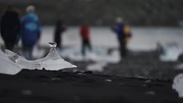 Icebergs sur la plage de sable noir avec touriste flou en arrière-plan, se concentrer sur la glace - Séquence, vidéo