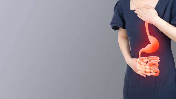 Frau mit Magenschmerzen und sauren Refluxsymptomen mit Magen-Darm-Trakt-Anatomie auf grauem Hintergrund. Ursache von Bauchschmerzen wie GERD, IBS, Magengeschwüren oder Magenkrebs. - Foto, Bild