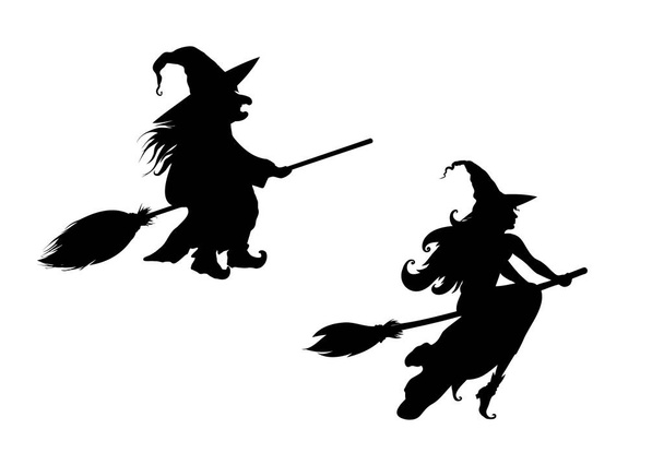 Silhouette of beautiful witch and old witch flies on a broomstick. - Vector, Image