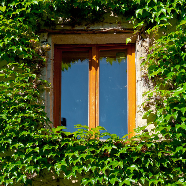 pencere - Fotoğraf, Görsel