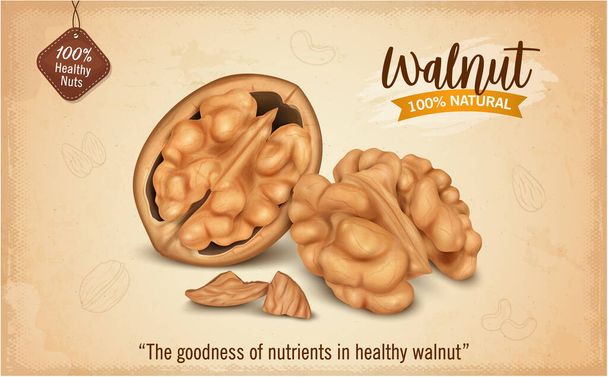 Half Broken walnut with walnut kernel and shell pieces - Vetor, Imagem