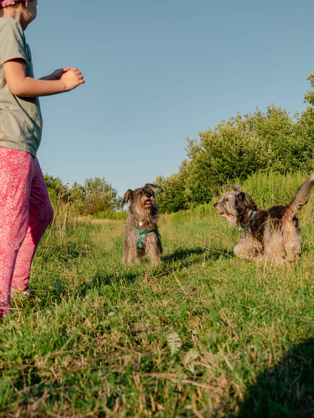 Pikkutyttö halailee ulkona koiran kanssa. Perhe kävelee hauskaa viettää aikaa yhdessä luonnossa. Lapsi lemmikkiystävän kanssa kesäniityllä. Aktiivinen elämäntapa vapaa suorapuheinen todellisia aitoja ihmisiä. - Valokuva, kuva