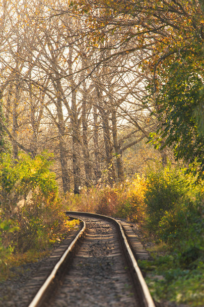 Scenic railroad in autumn - Zdjęcie, obraz