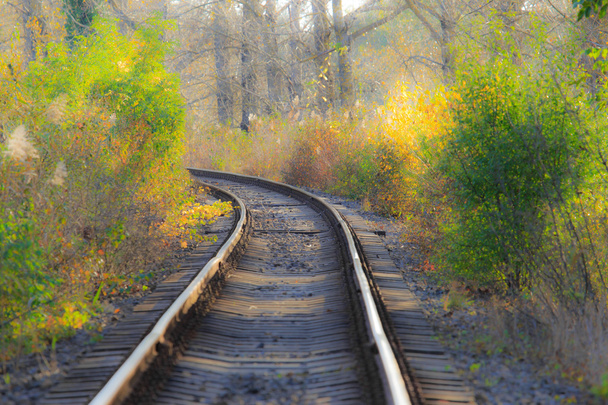 Chemin de fer panoramique en automne
 - Photo, image