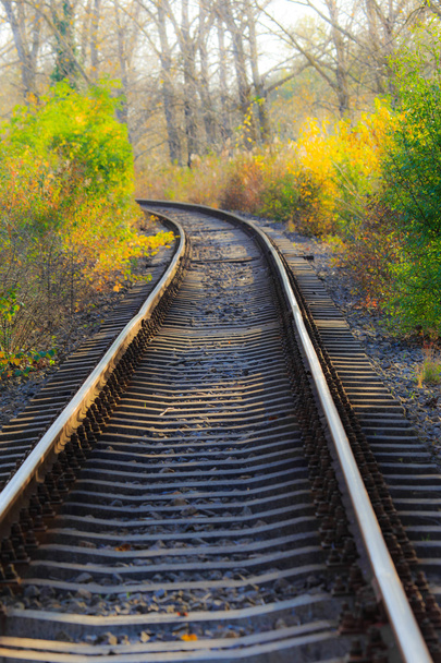Scenic railroad in autumn - Photo, Image