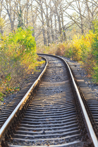 Scenic railroad w jesieni - Zdjęcie, obraz