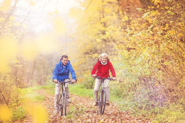 Active seniors riding on bikes - Valokuva, kuva