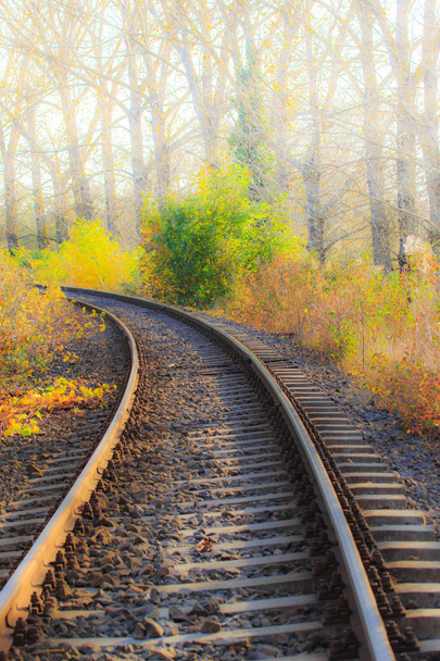 Ferrocarril escénico en otoño
 - Foto, imagen