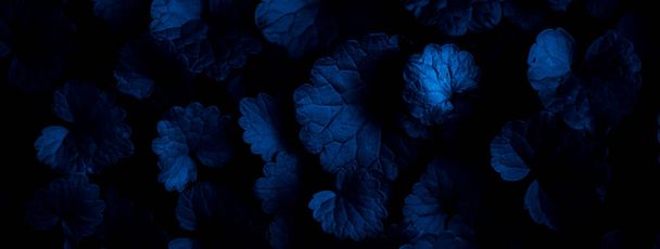 background of tiny blue leaves - Foto, afbeelding