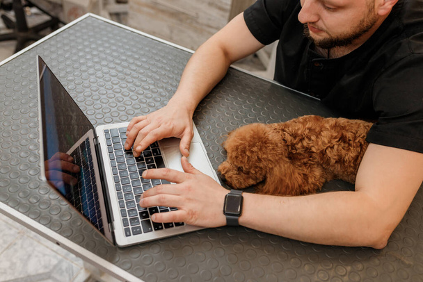 Peluquero profesional que trabaja en el ordenador portátil en su lugar de trabajo en el salón de aseo cerca con perro caniche. Concepto de aseo de animales - Foto, imagen