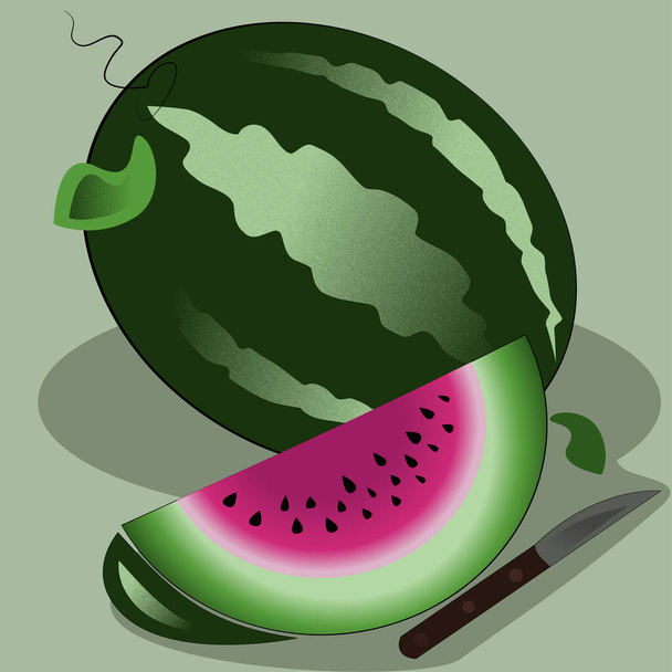 A whole watermelon with a leaf, a piece of watermelon, and a knife with a wooden handle on a light green background - the illustration is executed using the effect gained in pink and green colors. - Vector, afbeelding