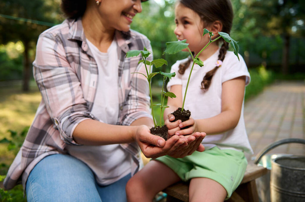 Focus on hands of mother and daughter holding seedlings. Blurred woman smiling to her baby girl gardening together in family eco vegetable garden. To instill love and respect for nature from childhood - Photo, Image