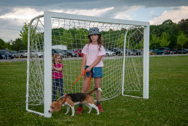 Children (two sisters), dog, and football gates. - Foto, Imagen