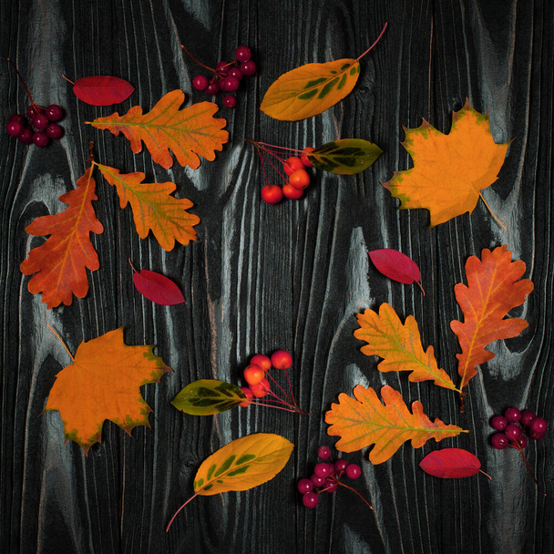 Composição de outono com folhas de carvalho e bordo e bagas vermelhas em um fundo marrom de madeira - Foto, Imagem