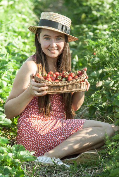 girl in strawberry field with basket of fresh picked berries - Fotó, kép