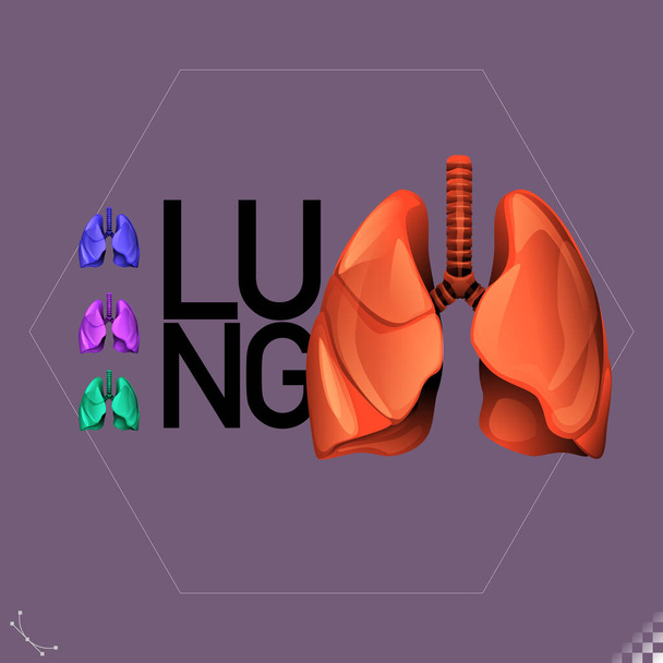 Grafiek Gestileerde illustratie, iconen, symbolen en voorzijde van menselijke organen longen - onderdeel van een verzameling - Vector, afbeelding