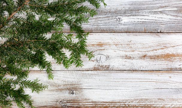 Real fir branch on white rustic wood background for the Christmas or New Year holiday concept   - Photo, Image