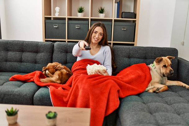 Young hispanic woman watching movie sitting on sofa with dogs at home - Photo, Image
