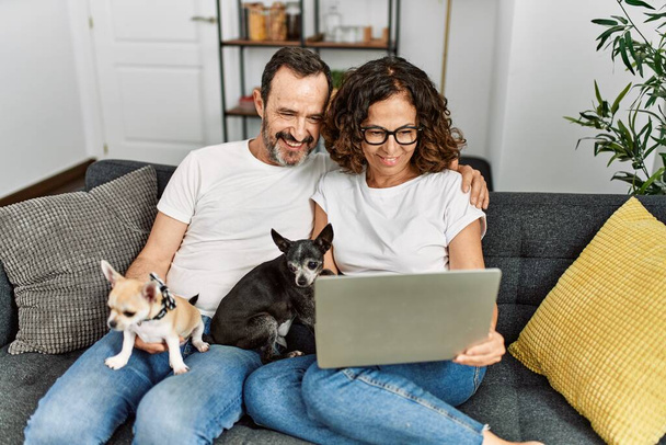 Ein hispanisches Paar mittleren Alters lächelt glücklich und benutzt einen Laptop. Mit Hunden zu Hause auf dem Sofa sitzen. - Foto, Bild