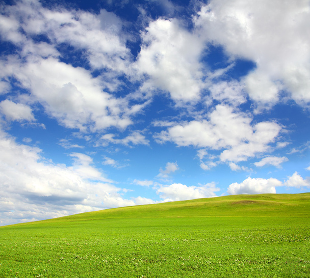zielone wzgórze z trawy pod niebem - Zdjęcie, obraz
