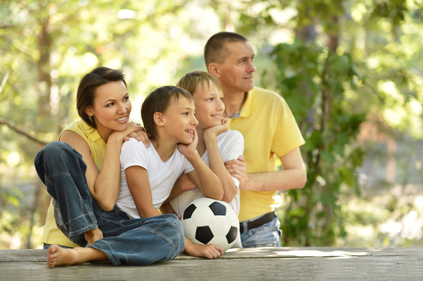 rodziny i piłkę nożną piłki - Zdjęcie, obraz