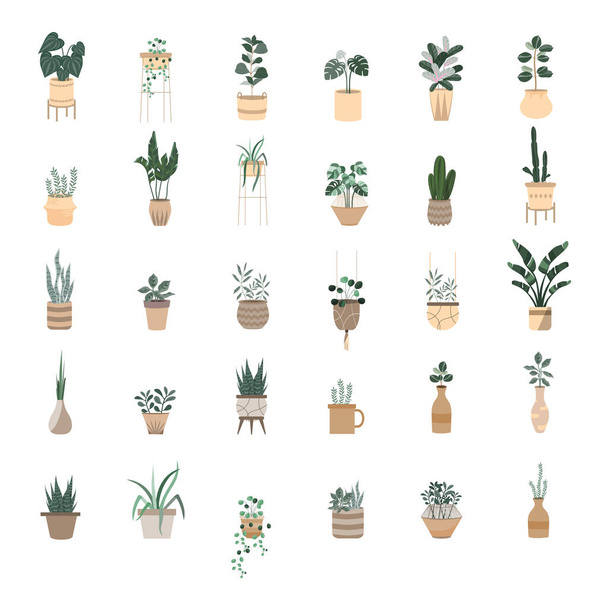 Házi növények sorozat.Cserepes növények gyűjteménye. kézzel rajzolt, dekoráció, fa, vektor illusztrációk. - Vektor, kép