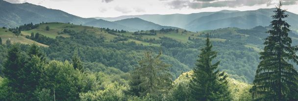 Panoramic view on mountains valley and hills with green forest in cloudy day - 写真・画像
