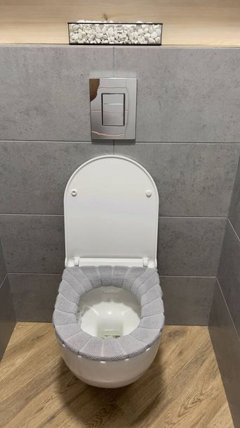 Hanging toilet surrounded by gray walls and wooden floor - Foto, afbeelding
