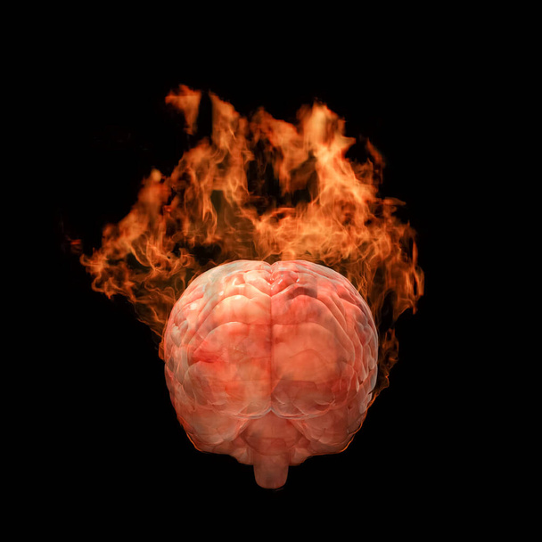 3D Rendering of a Human Brain's Burning on Fire with Hot Flame - Photo, image