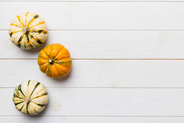 Осінній склад маленьких оранжевих гарбузів на кольоровому тлі столу. Fall, Halloween and Thanksgiving Concept (англійською). Осінь пласка фотографія. Top view vith copy space. - Фото, зображення