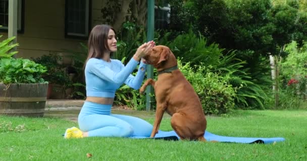 The dog is on its owner between her hands. Family dog outdoor lifestyle. Young woman with dog. A beautiful woman laughing while her pet is licking her face in a sunny day in the park. - Footage, Video