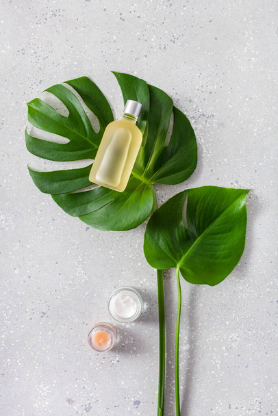 eco friendly skincare cosmetic concept. monstera leaf essential oil cream - Photo, Image