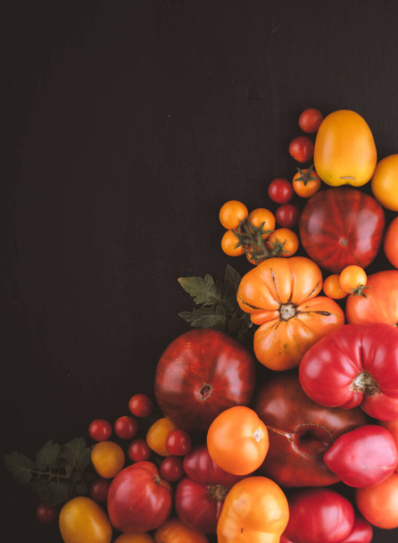 variété de tomates biologiques colorées mûres. Photo de haute qualité. - Photo, image