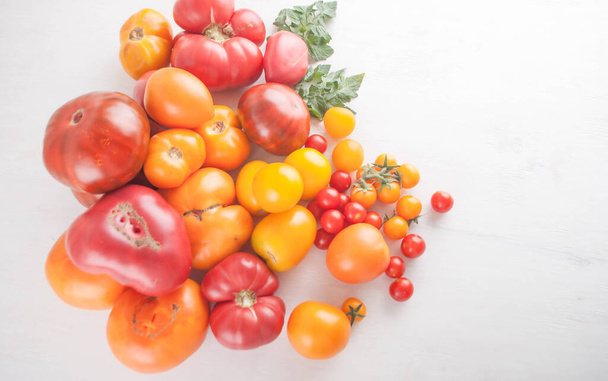variété de tomates biologiques colorées mûres. Photo de haute qualité. - Photo, image